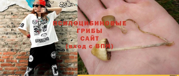 мяу мяу мука Гусев