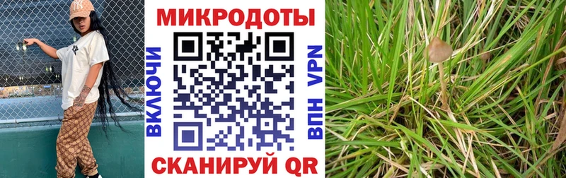 что такое наркотик  Обь  Псилоцибиновые грибы мухоморы 