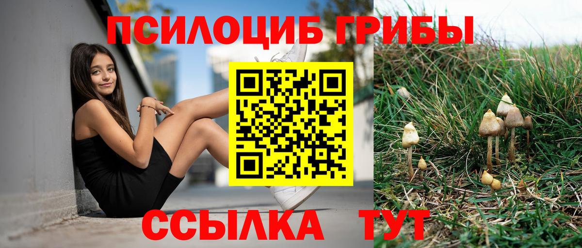 Псилоцибиновые грибы прущие грибы Обь